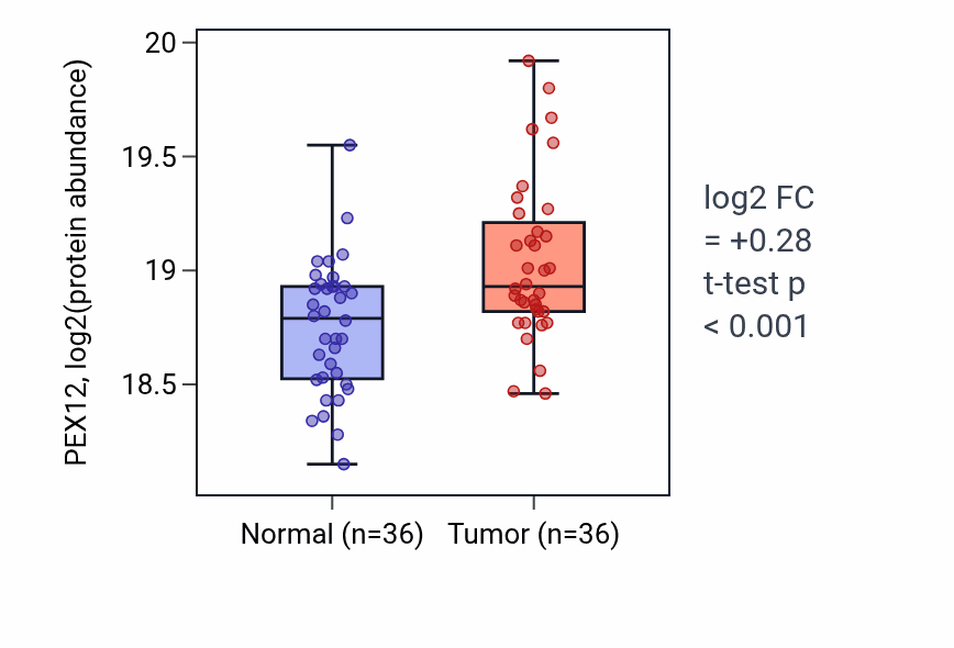 Tumor-vs-normal mass-spec protein box plot for PEX12 in HNSC.