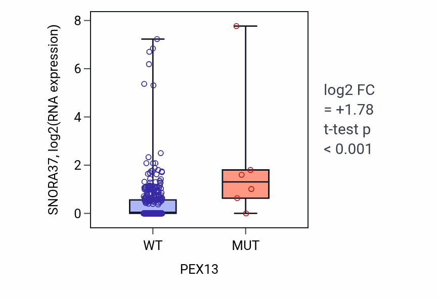 Box plot of SNORA37 in PEX13-low vs PEX13-high samples in COAD.