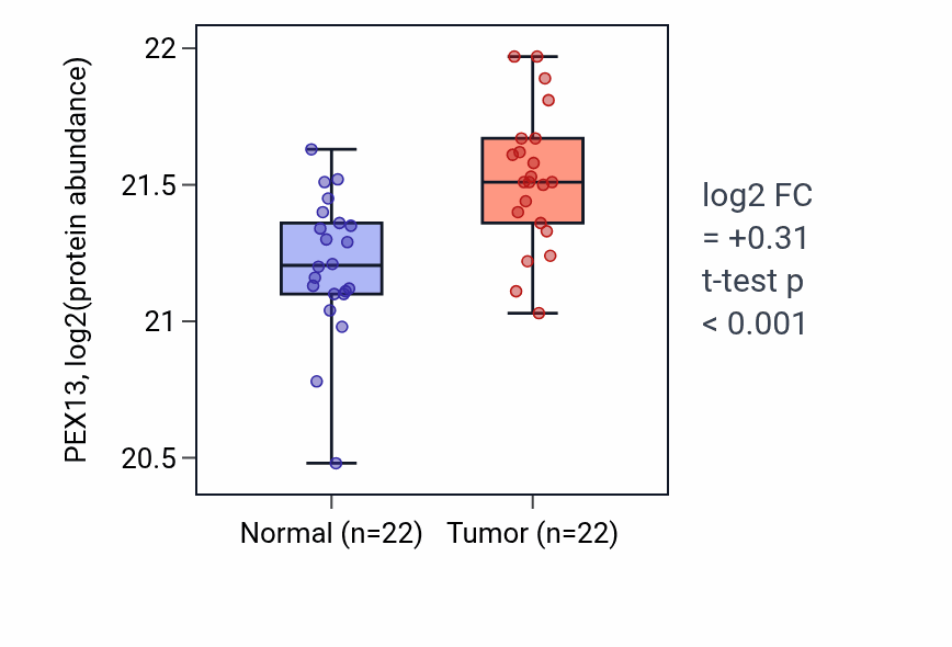 Tumor-vs-normal mass-spec protein box plot for PEX13 in HNSC.