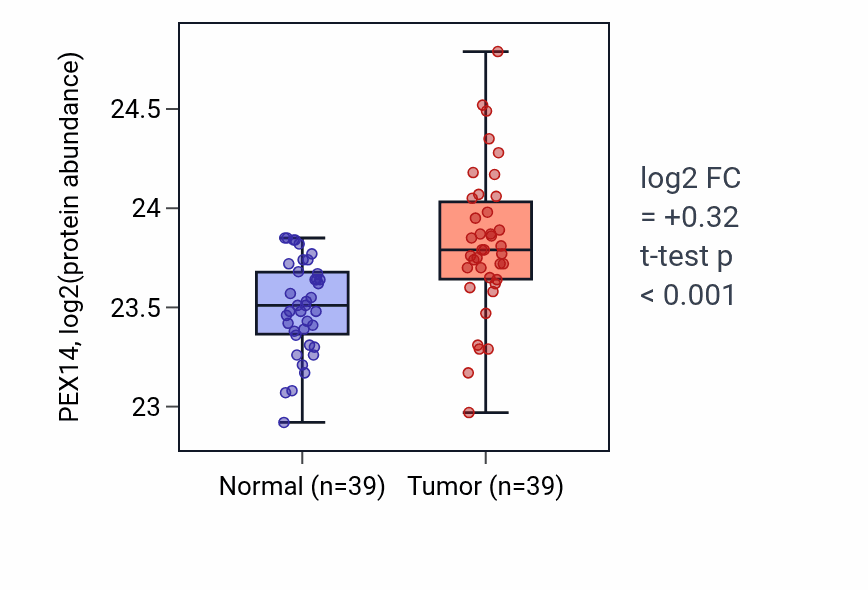 Tumor-vs-normal mass-spec protein box plot for PEX14 in HNSC.