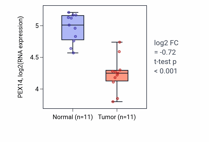 Tumor-vs-normal expression box plot for PEX14 RNA in KICH.