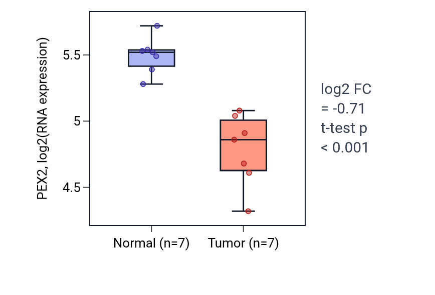 Tumor-vs-normal expression box plot for PEX2 RNA in THCA.