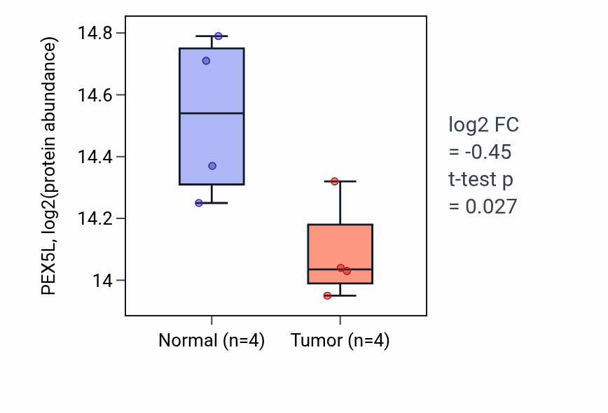 Tumor-vs-normal mass-spec protein box plot for PEX5L in LSCC.