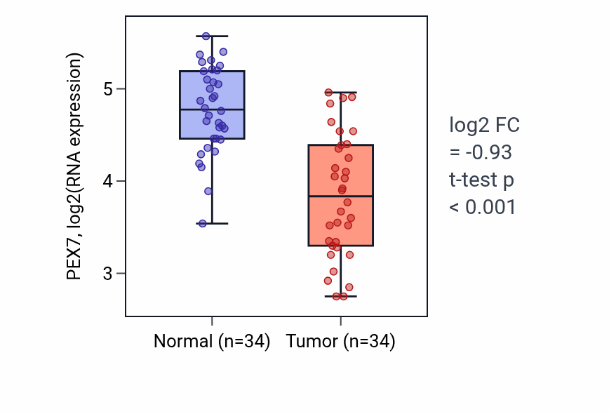 Tumor-vs-normal expression box plot for PEX7 RNA in KIRC.
