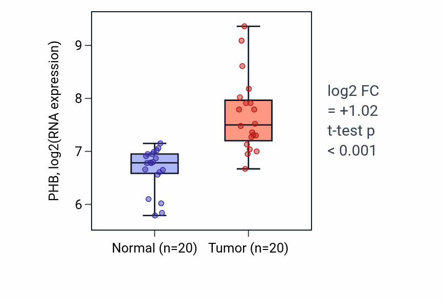 Tumor-vs-normal expression box plot for PHB RNA in COAD.