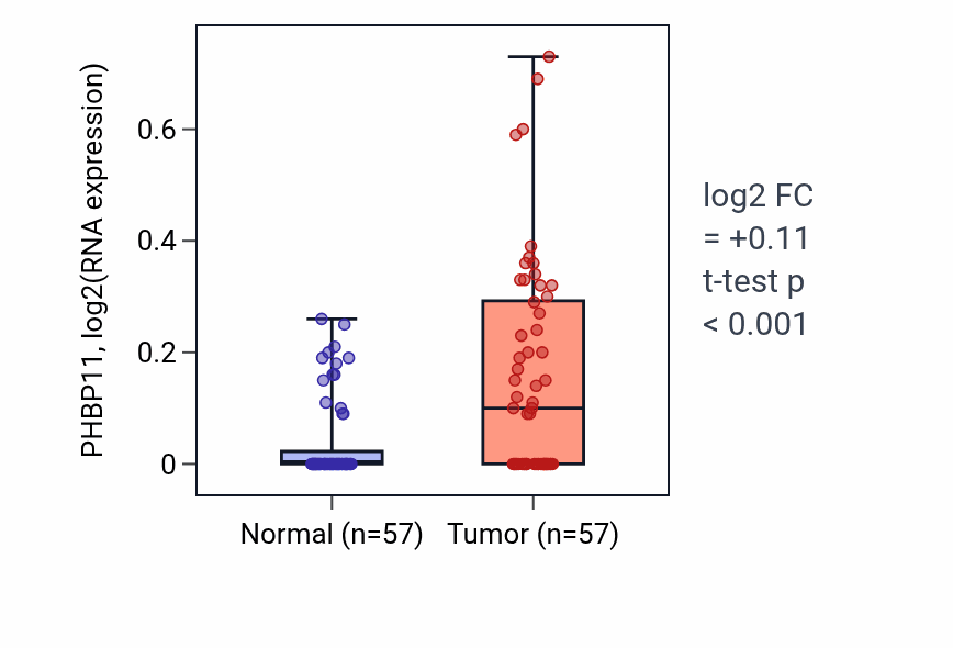 Tumor-vs-normal expression box plot for PHBP11 in LUAD.