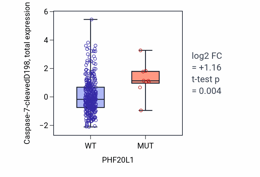 Box plot of Caspase-7-cleavedD198 in PHF20L1-low vs PHF20L1-high samples in COAD.