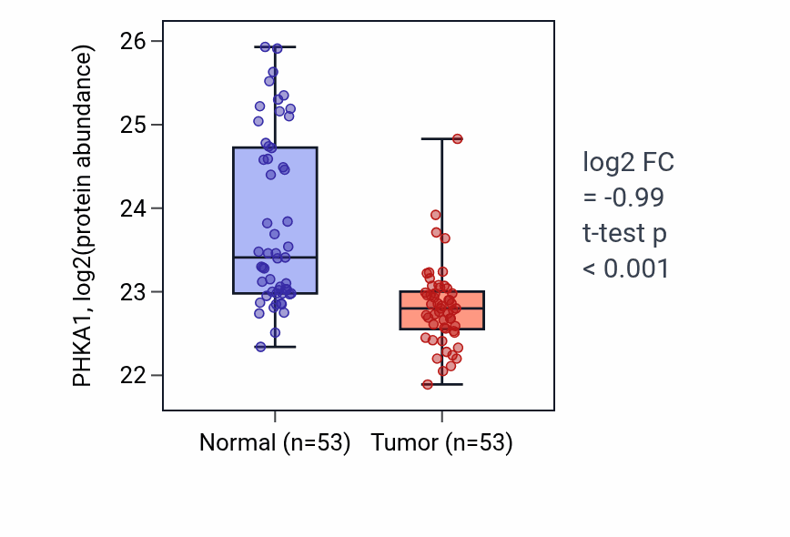 Tumor-vs-normal mass-spec protein box plot for PHKA1 in HNSC.