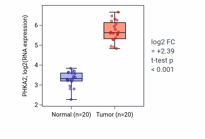 Tumor-vs-normal expression box plot for PHKA2 RNA in KIRC.