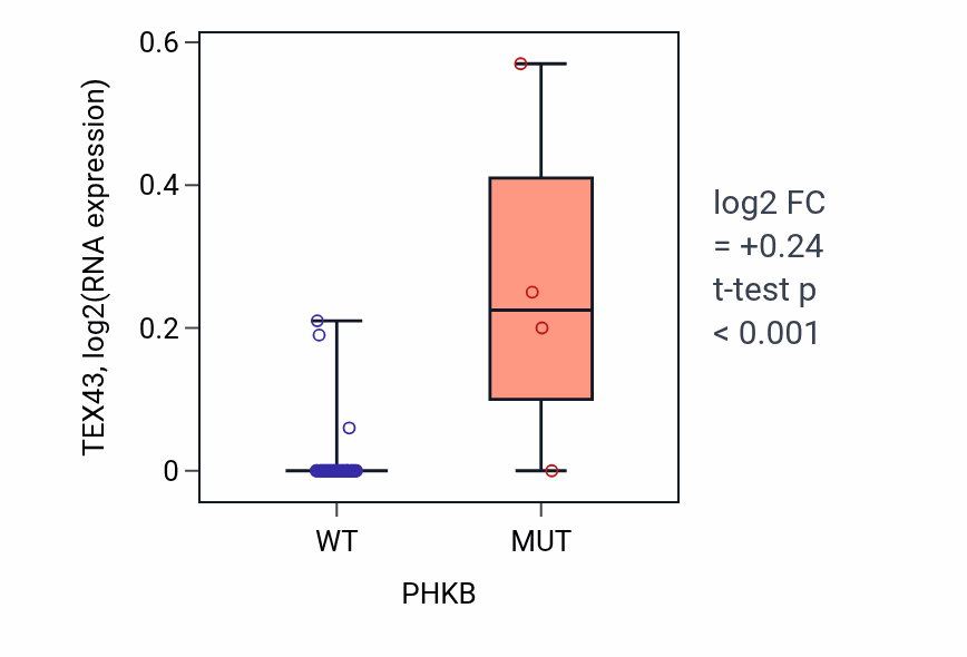 Box plot of TEX43 in PHKB-low vs PHKB-high samples in LUNG_SCLC.
