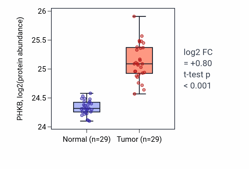 Tumor-vs-normal mass-spec protein box plot for PHKB in CCRCC.