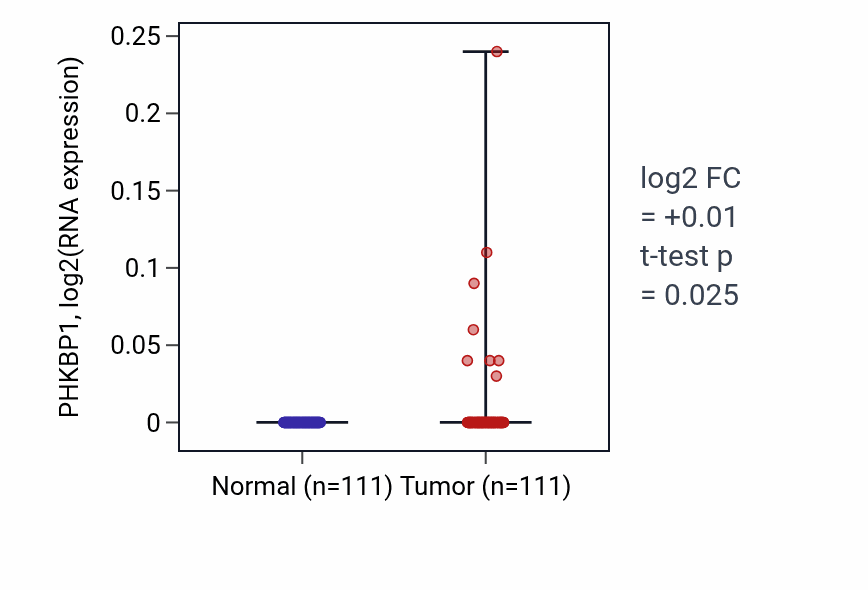 Tumor-vs-normal expression box plot for PHKBP1 in BRCA.