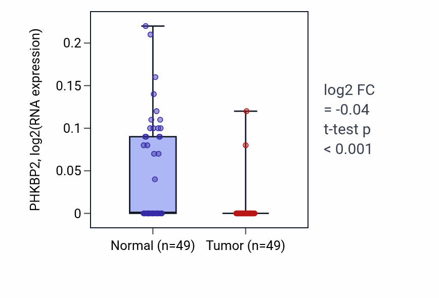 Tumor-vs-normal expression box plot for PHKBP2 in LUSC.