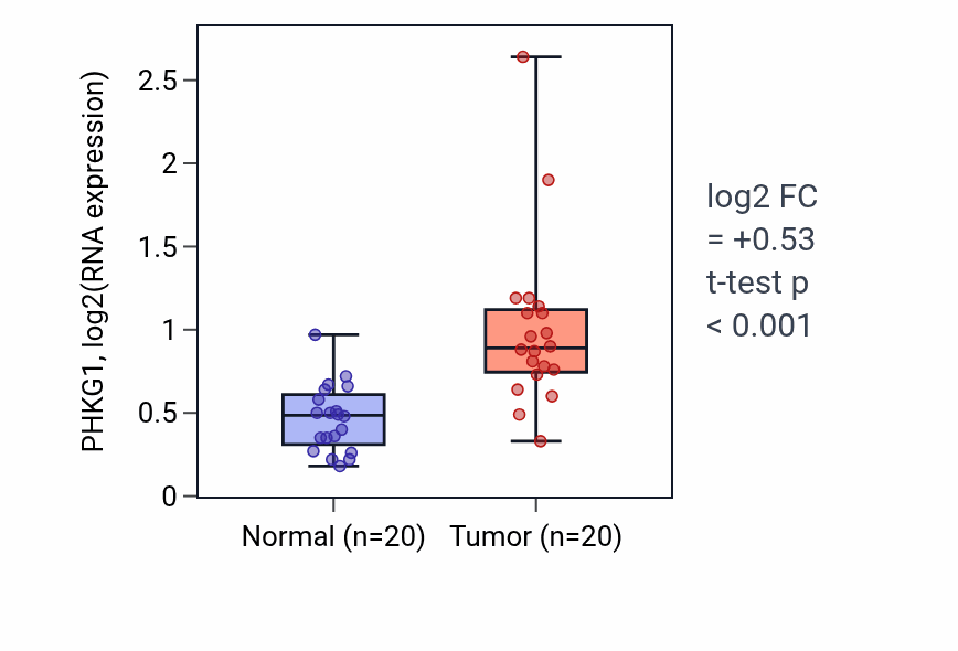 Tumor-vs-normal expression box plot for PHKG1 RNA in KIRC.
