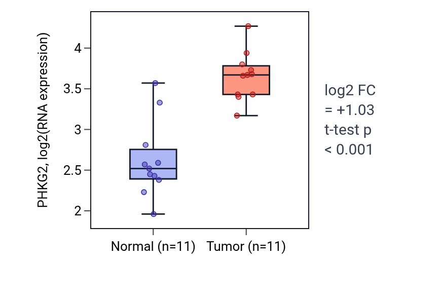 Tumor-vs-normal expression box plot for PHKG2 RNA in HNSC.