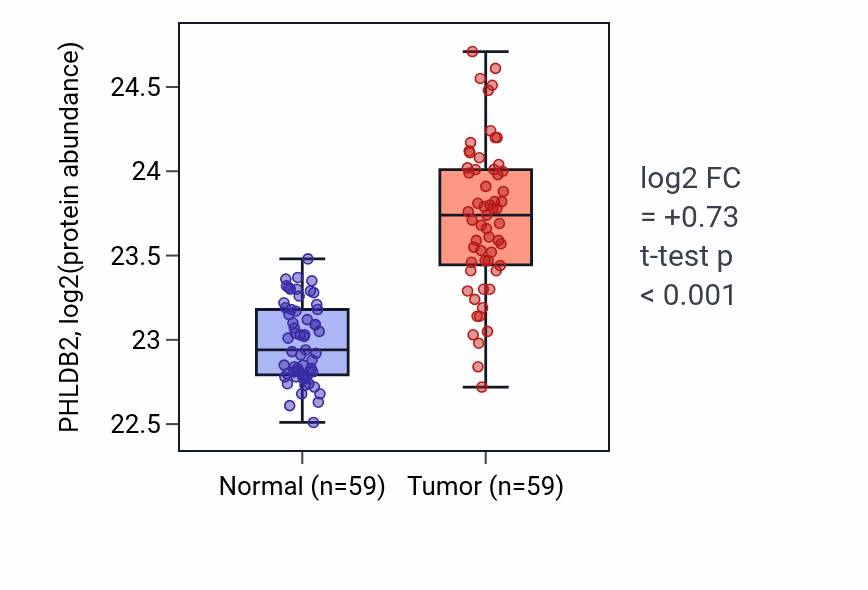 Tumor-vs-normal mass-spec protein box plot for PHLDB2 in HNSC.