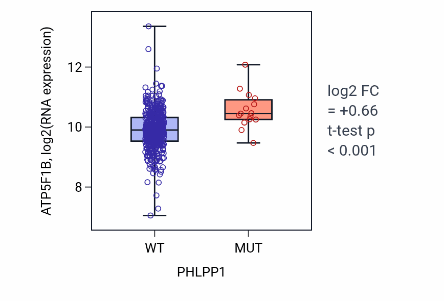 Box plot of ATP5F1B in PHLPP1-low vs PHLPP1-high samples in SKCM.