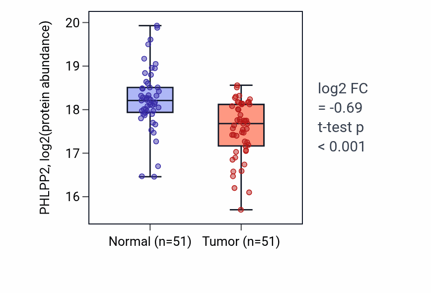 Tumor-vs-normal mass-spec protein box plot for PHLPP2 in LSCC.