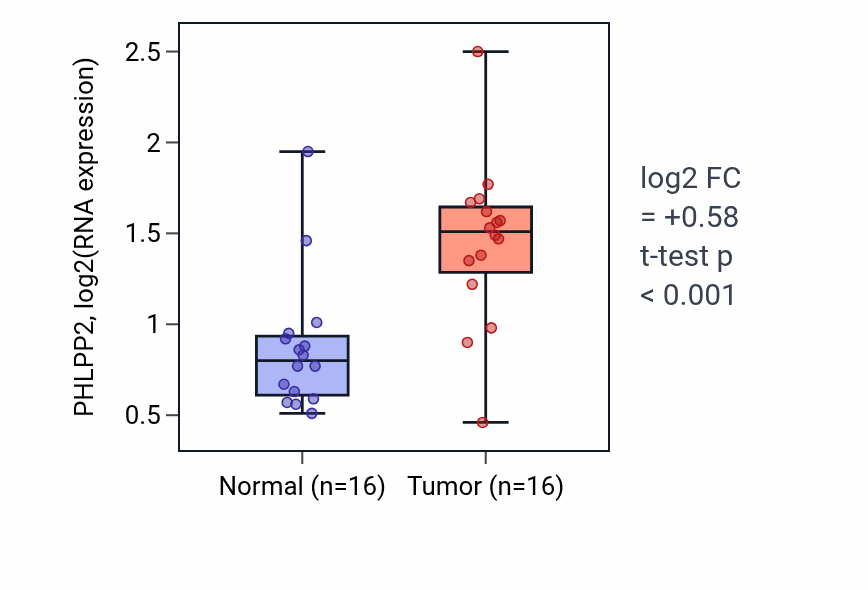 Tumor-vs-normal expression box plot for PHLPP2 RNA in HNSC.