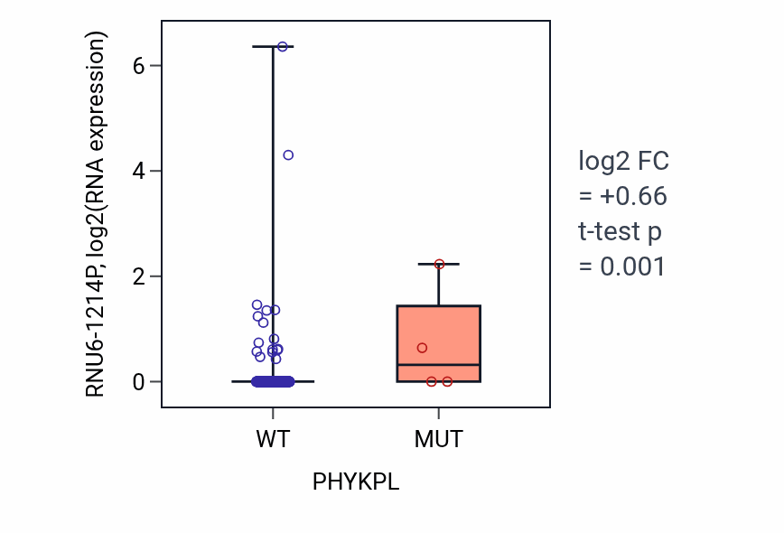 Box plot of RNU6-1214P in PHYKPL-low vs PHYKPL-high samples in COAD.