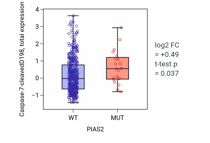 Box plot of Caspase-7-cleavedD198 in PIAS2-low vs PIAS2-high samples in UCEC.