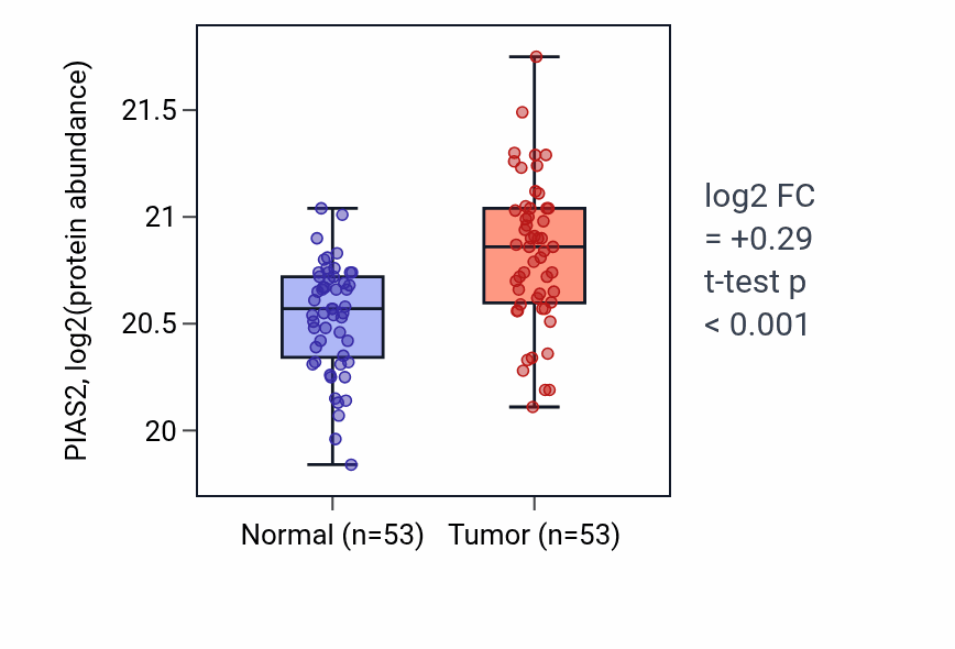 Tumor-vs-normal mass-spec protein box plot for PIAS2 in LSCC.
