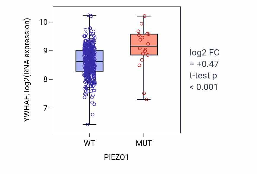 Box plot of YWHAE in PIEZO1-low vs PIEZO1-high samples in COAD.