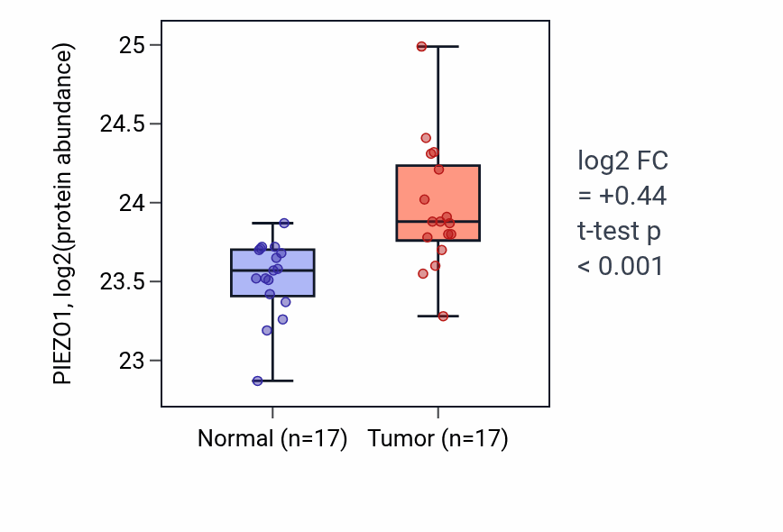Tumor-vs-normal mass-spec protein box plot for PIEZO1 in CCRCC.