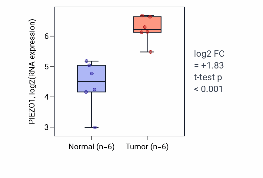 Tumor-vs-normal expression box plot for PIEZO1 RNA in HNSC.