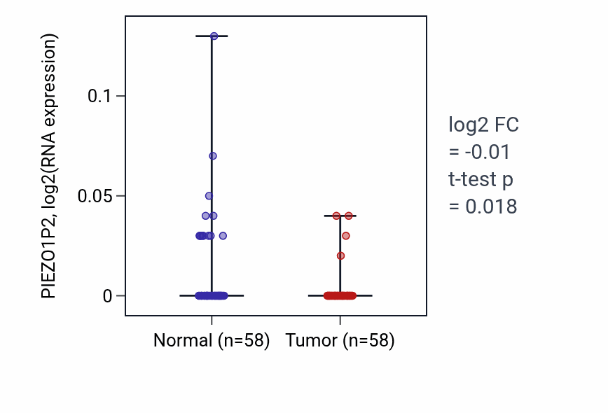 Tumor-vs-normal expression box plot for PIEZO1P2 in THCA.