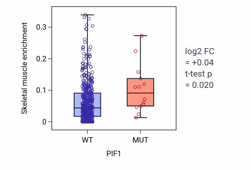 Box plot of Skeletal muscle in PIF1-low vs PIF1-high samples in SKCM.
