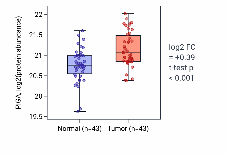 Tumor-vs-normal mass-spec protein box plot for PIGA in LSCC.