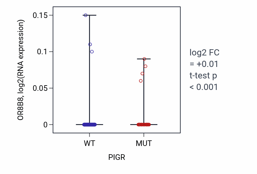 Box plot of OR8B8 in PIGR-low vs PIGR-high samples in SKCM.