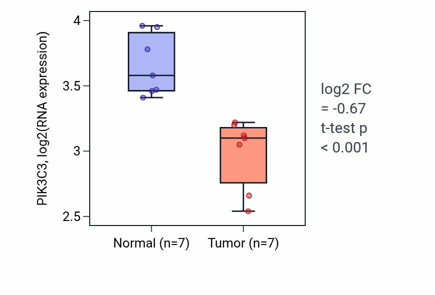Tumor-vs-normal expression box plot for PIK3C3 RNA in THCA.