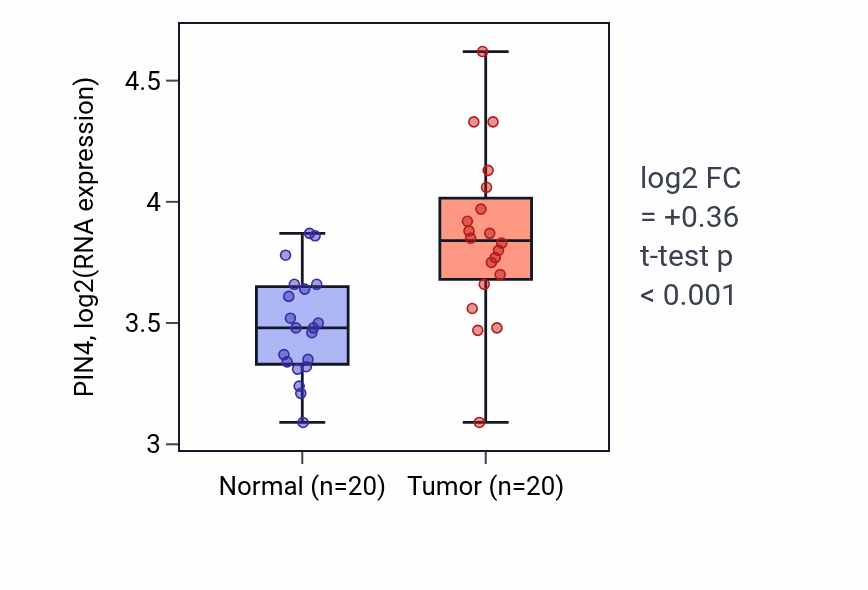 Tumor-vs-normal expression box plot for PIN4 RNA in KIRC.