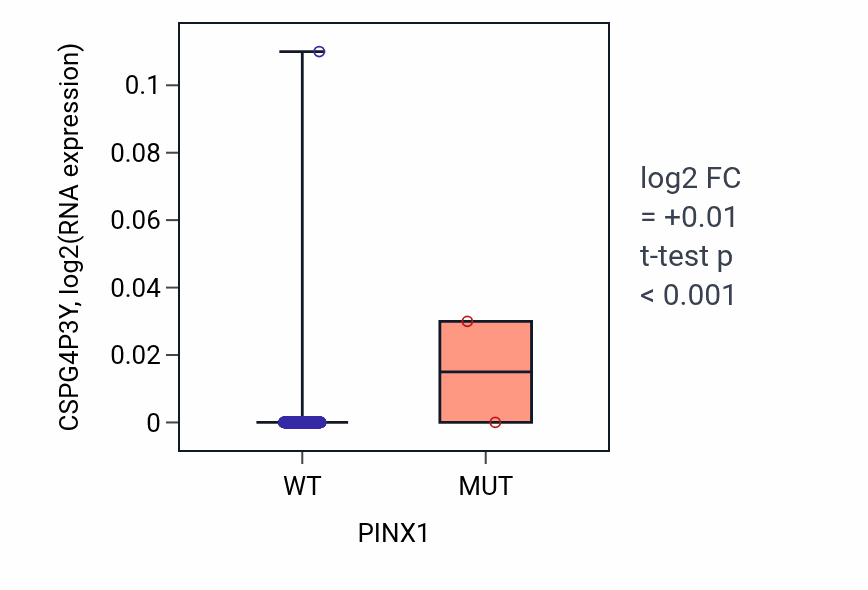 Box plot of CSPG4P3Y in PINX1-low vs PINX1-high samples in BLCA.