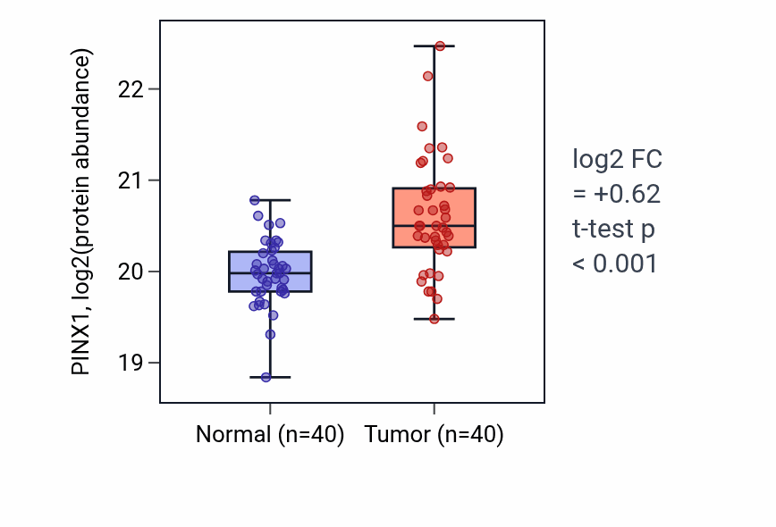 Tumor-vs-normal mass-spec protein box plot for PINX1 in LSCC.