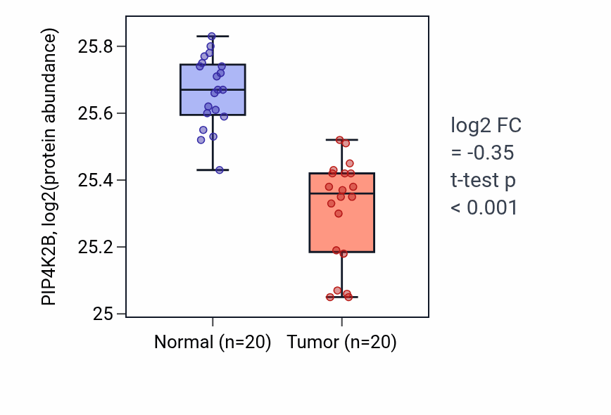 Tumor-vs-normal mass-spec protein box plot for PIP4K2B in LSCC.