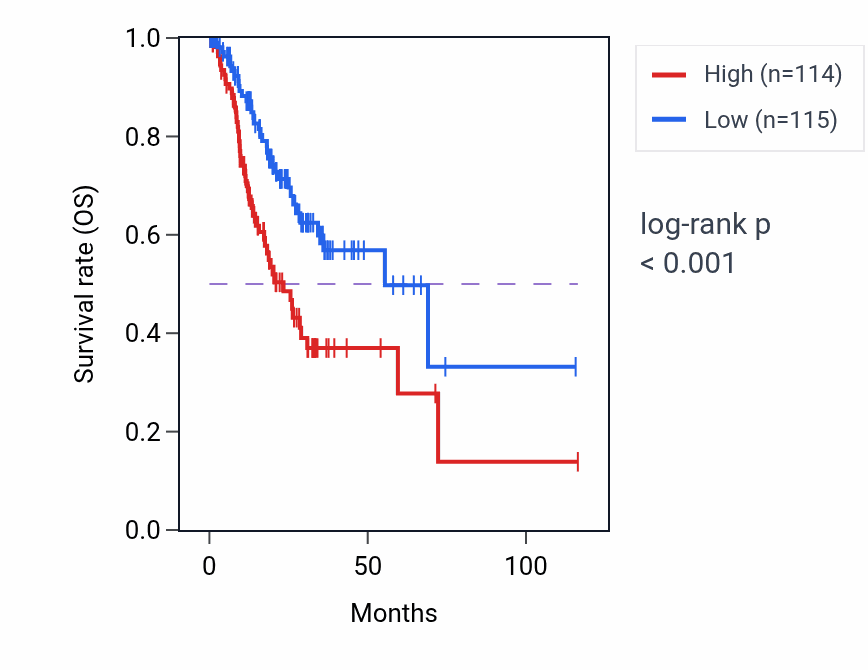 Kaplan&ndash;Meier survival curve for PIP4P2 RNA-high vs -low samples in STAD.
