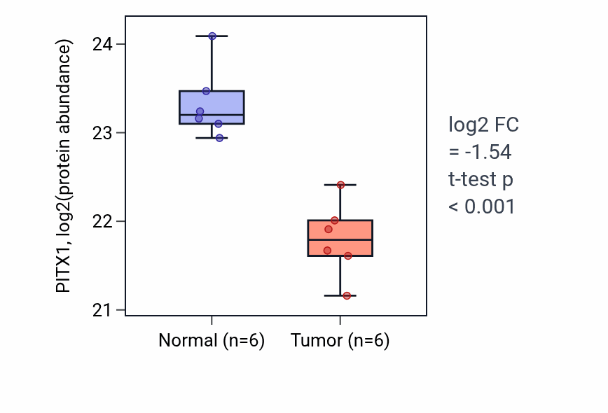 Tumor-vs-normal mass-spec protein box plot for PITX1 in HNSC.