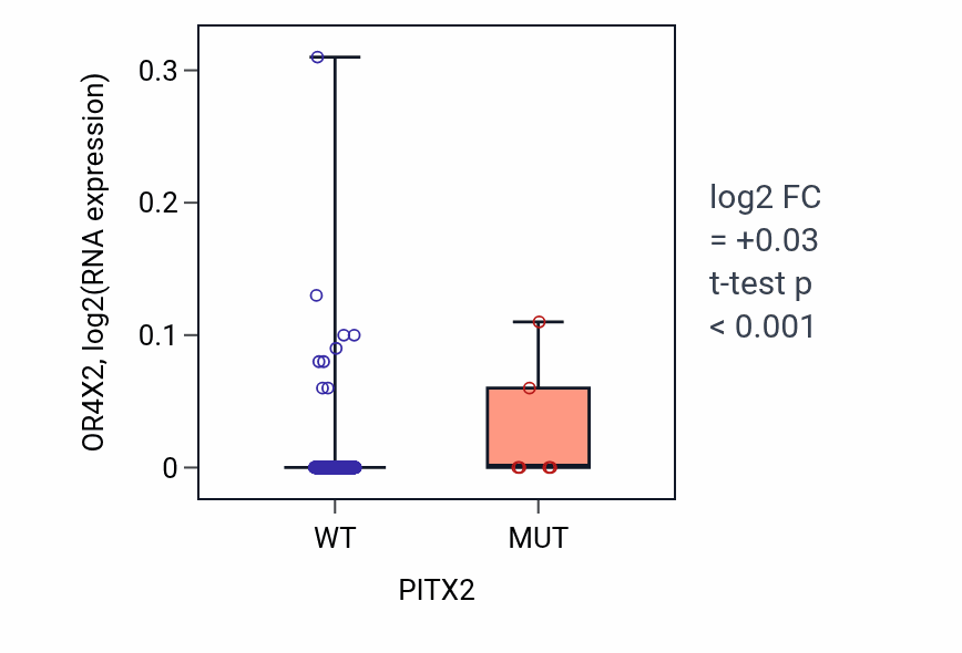 Box plot of OR4X2 in PITX2-low vs PITX2-high samples in LUSC.