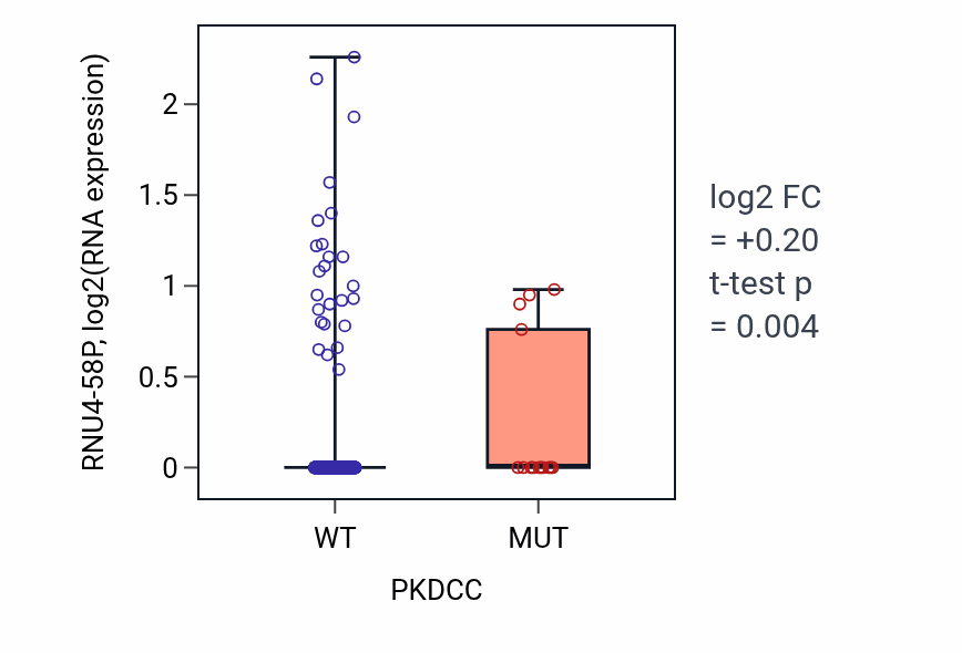 Box plot of RNU4-58P in PKDCC-low vs PKDCC-high samples in UCEC.