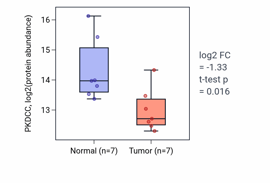 Tumor-vs-normal mass-spec protein box plot for PKDCC in HNSC.