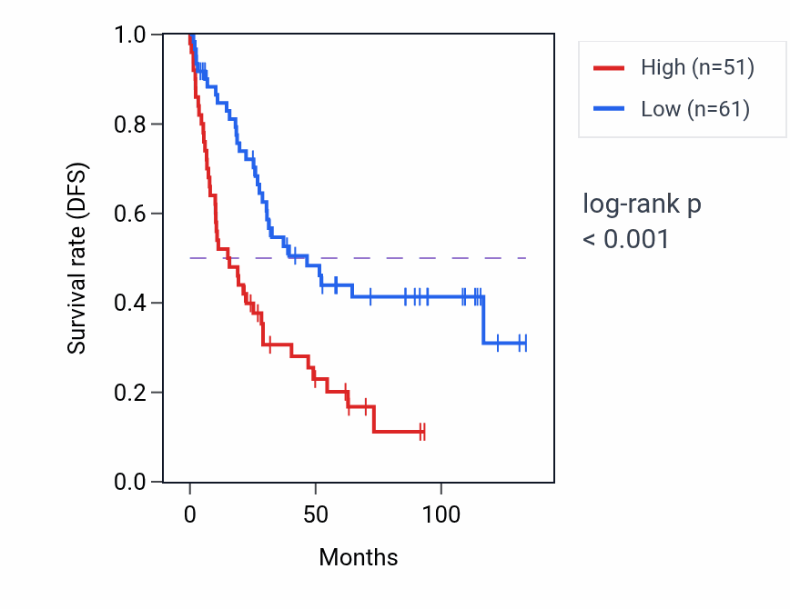 Kaplan&ndash;Meier survival curve for PKIA-AS1 RNA expression in KIRC: high vs low expression groups.