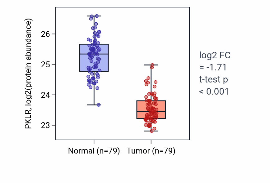 Tumor-vs-normal mass-spec protein box plot for PKLR in LSCC.