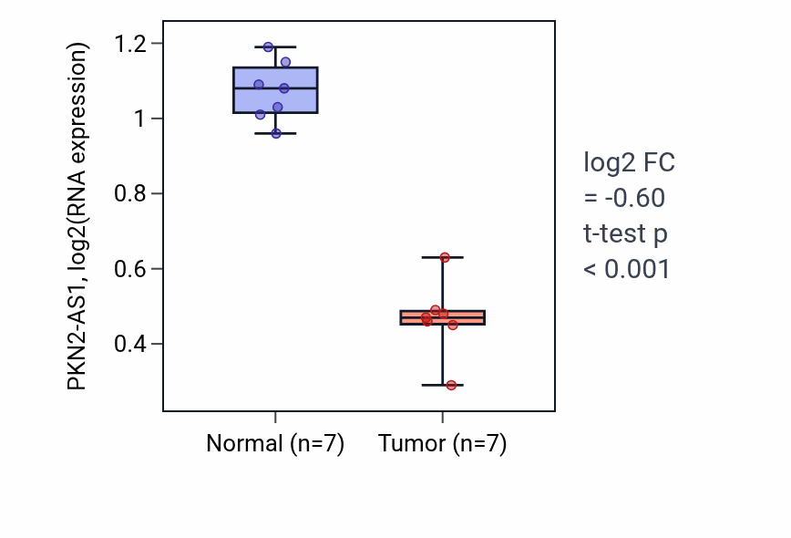 Tumor-vs-normal expression box plot for PKN2-AS1 in THCA.