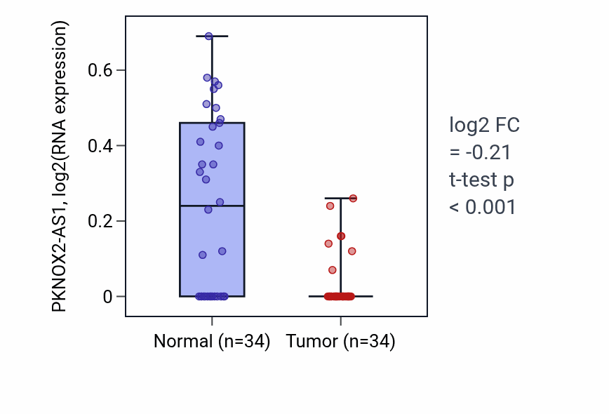 Tumor-vs-normal expression box plot for PKNOX2-AS1 in LUAD.