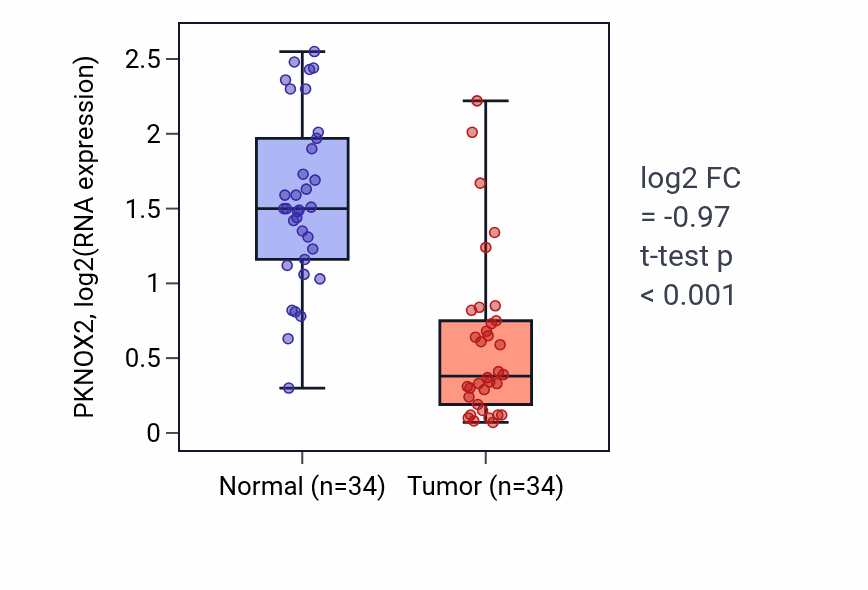 Tumor-vs-normal expression box plot for PKNOX2 in KIRC.