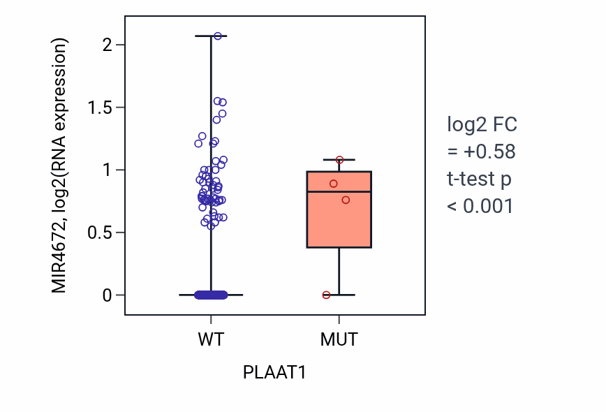 Box plot of MIR4672 in PLAAT1-low vs PLAAT1-high samples in HNSC.