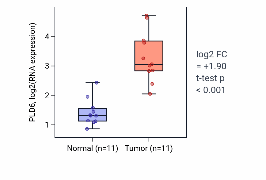Tumor-vs-normal expression box plot for PLD6 RNA in HNSC.